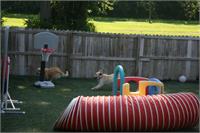 daycare pic 87 - play time